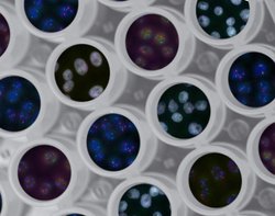 5 Technologies Shaking Up Healthcare in 2020