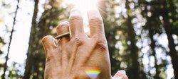 Vision Without Execution is Just a Pipedream: Turning Your Biotech Idea Into a Reality