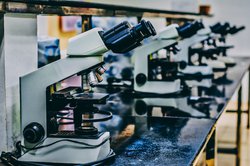 How an MD Can Help Guide Product Development