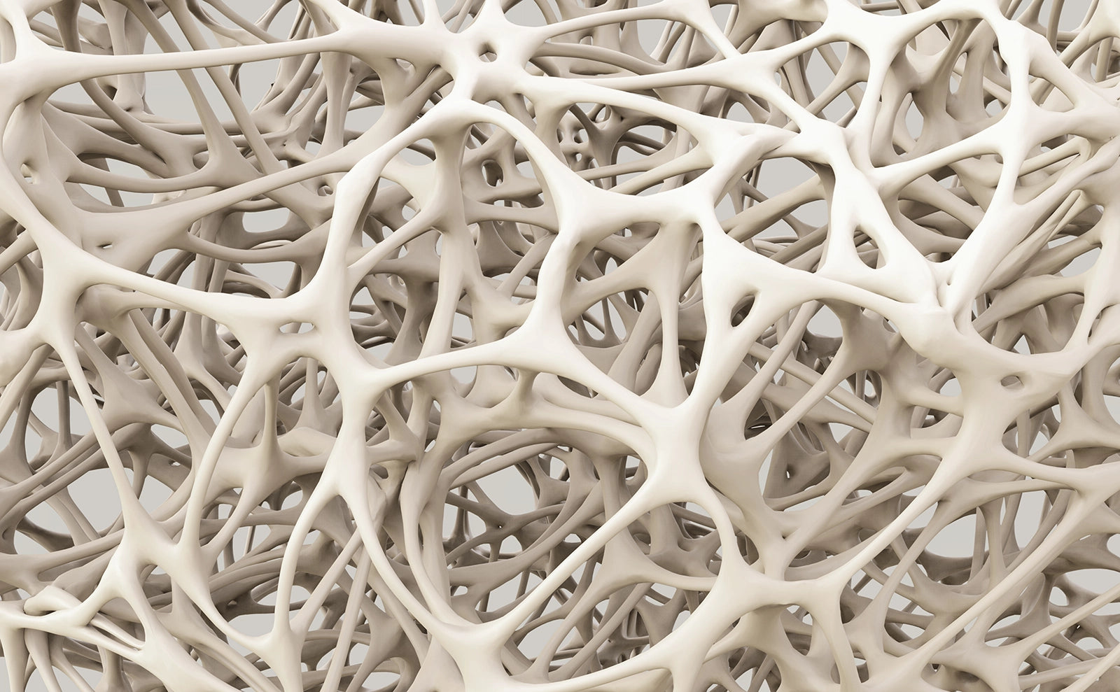 Porous, low-density bone structure